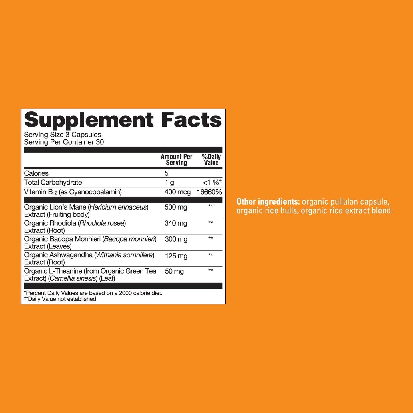 Focus Capsules - Focus Wellness Support Capsules