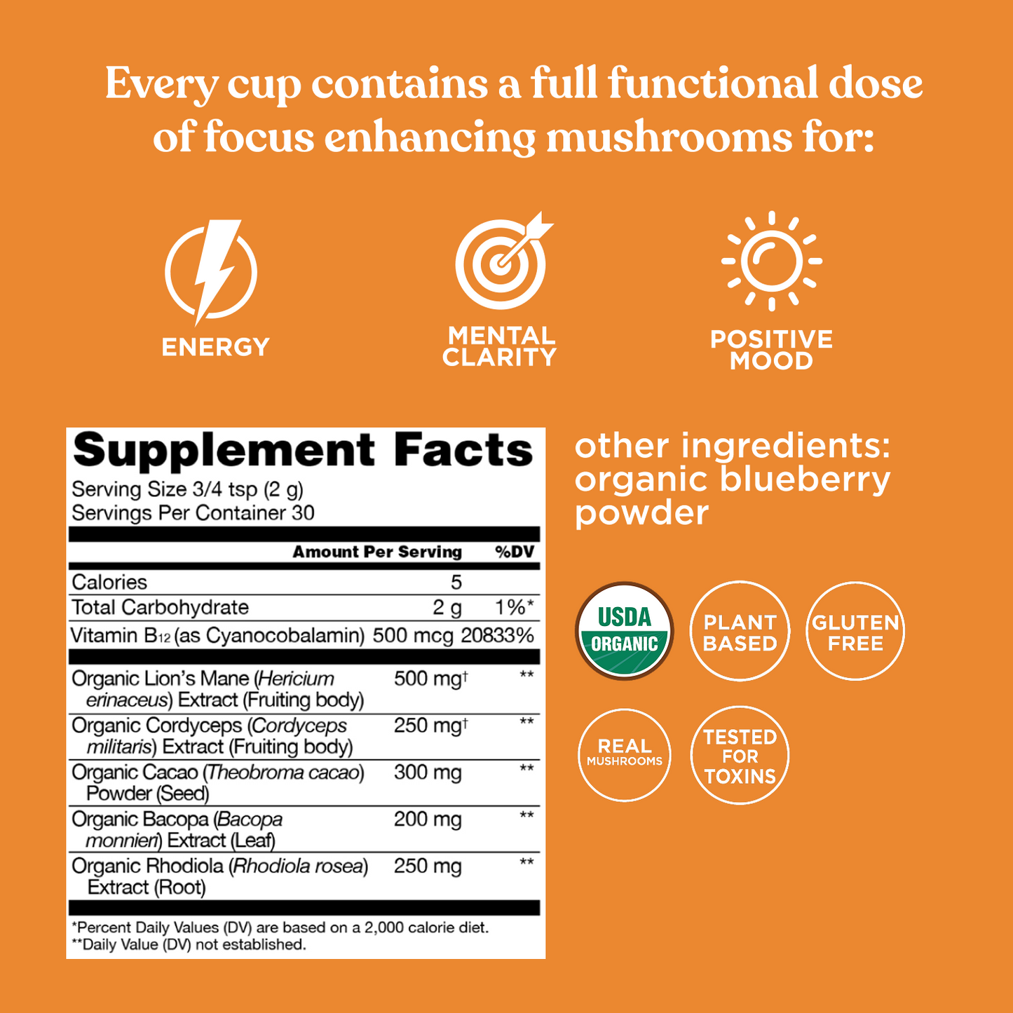 Focus Mushroom Blend - Focus Wellness Mushroom Mix