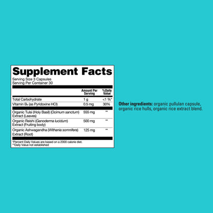 Calm Capsules - Calm Wellness Support Capsules