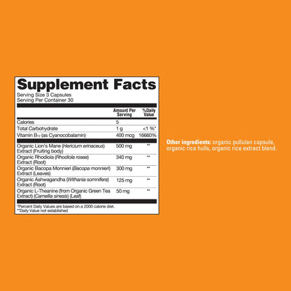 Focus Capsules - Focus Wellness Support Capsules