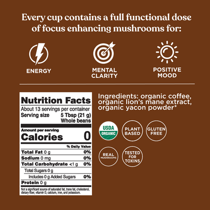 Focus Whole Bean Coffee - Whole Bean Daily Brew Coffee Beans