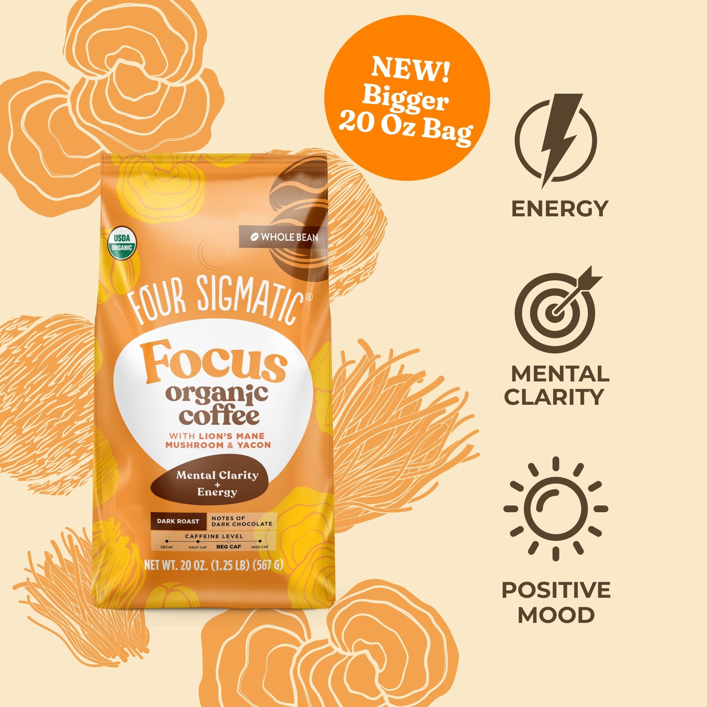 Focus Whole Bean Coffee - Dark (20oz) - Dark Roast Daily Brew Coffee Beans