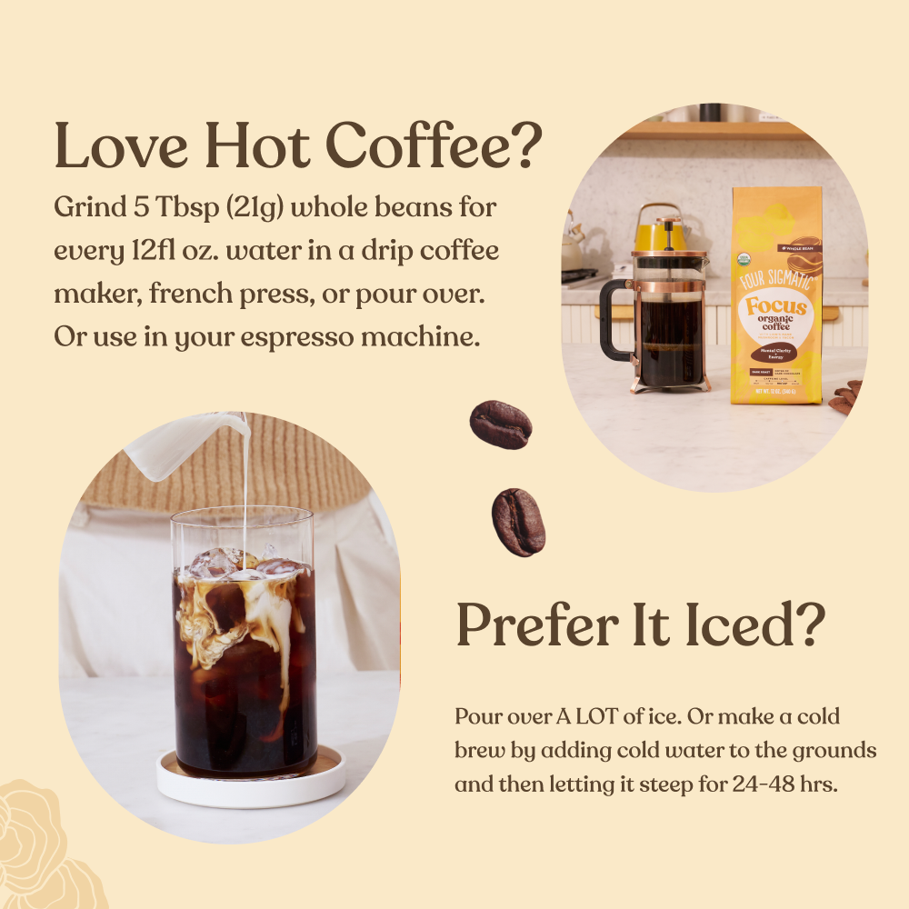 Focus Whole Bean Coffee - Whole Bean Daily Brew Coffee Beans